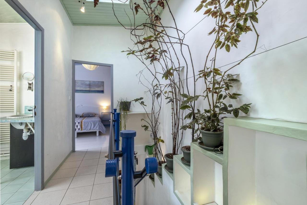 Les Volets Bleus T3 De 80 M2 Patio Privatif Apartamento Rochefort  Exterior foto
